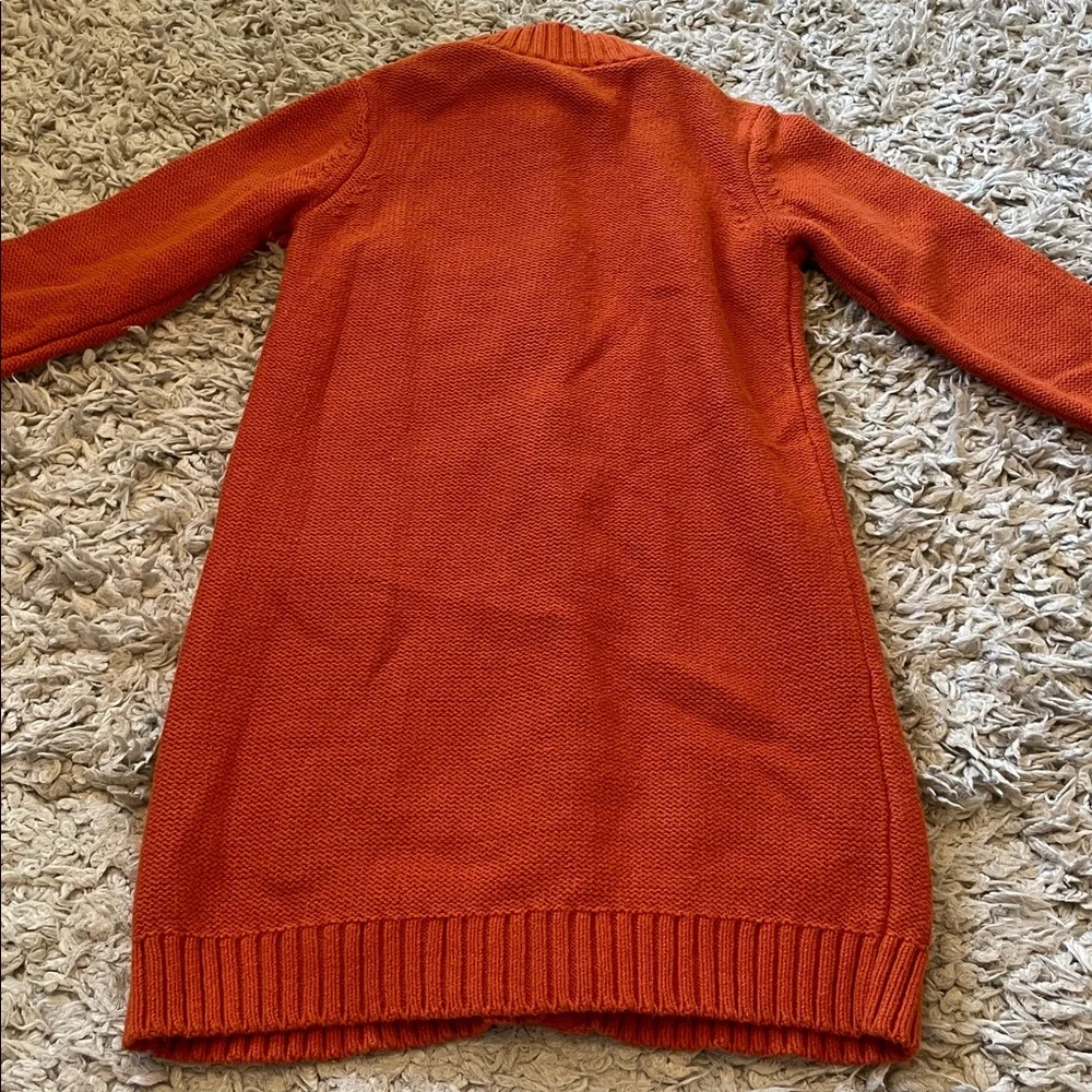 2009 Gymboree “Purrfect Autumn” Jumper & Cardigan Outfit, Size 5